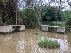 -贵阳市花溪国家城市湿地公园