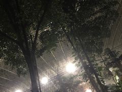 -龙脉温泉室内游泳馆