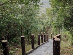 -田心森林公园