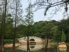-广州市帽峰山景区