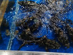 -盒马鲜生(枣园路店)