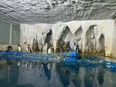 -太平洋海底世界