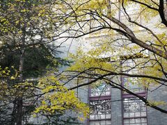 -山东大学(趵突泉校区)