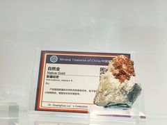 -中国地质大学逸夫博物馆