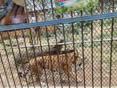 -昆明动物园
