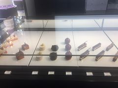 -BLACKSWAN黑天鹅(环球店)