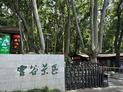 -灵谷景区