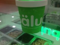-Salud撒露欧洲冻酸奶(798艺术区店)
