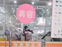 -暖阳宠物医院·犬猫康复中心·骨科