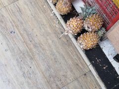 -羊栏农贸市场(羊新路店)