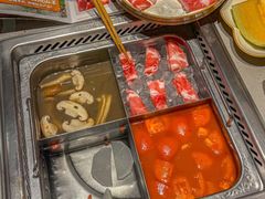 -海底捞火锅(奥森店)