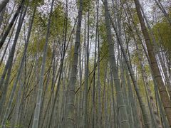 -鸡枕山