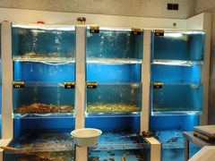 -赶海部落海鲜城(海阳路店)