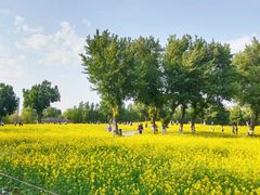 -长白岛森林公园