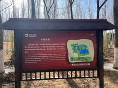 -大兴滨河森林公园