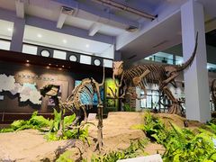 -自贡恐龙博物馆