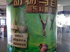 -上海动物园(地铁站)