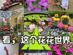-云溪植物园