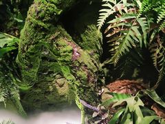 -锦府盐帮·李宅(领展购物广场中关村店)