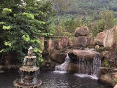 -清溪森林公园