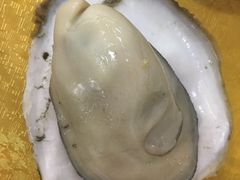 -蚝专家(北滘店)