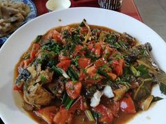 -生态苑农庄(十里画廊遇龙河店)