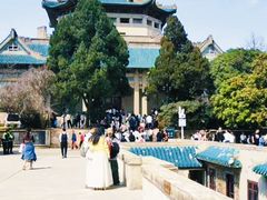 -武汉大学-樱园