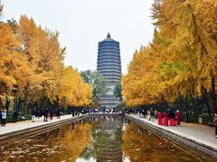 -玲珑塔公园