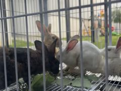 -生态苑农庄(十里画廊遇龙河店)