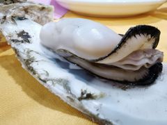 -蚝专家(北滘店)