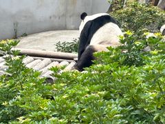 -柳州市动物园