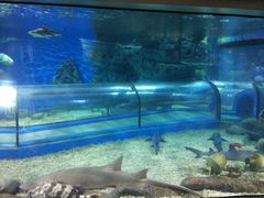 -福州罗源湾海洋世界旅游区