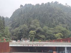 -娄山关景区