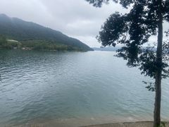 -千岛湖东南湖区