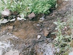 -白水寺森林公园