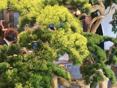 -百富源·海鲜辽菜(和平北大街店)