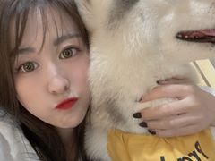 -Husky Go! 哈士奇体验馆·宠物咖啡厅狗咖