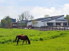-田园东方蜜桃村的田野营地