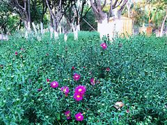 -回龙观体育文化公园