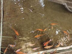 -印巷里主题餐厅(马鞍山店)