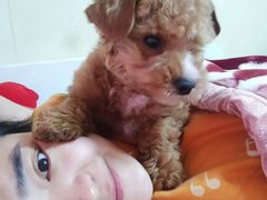 -佑安动物医院·全科·内窥镜中心(幸福巷店)