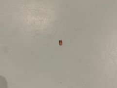 -怪兽屋·羊驼·猫咖·狗咖(俊华广场店)