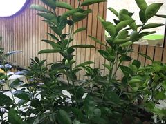 -巴黎春天(浦建店)