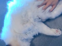 -零纪元VR体验馆·桌游(黄浦店)