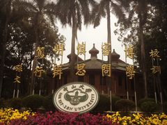 -中山大学学者灵芝(园南路店)