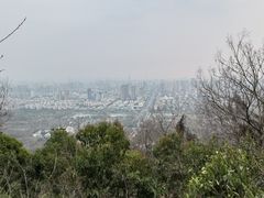 -大蜀山国家森林公园