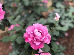 -人民公园(罗湖区)