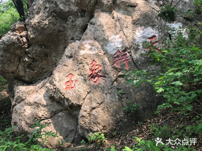 吊水壶国家森林公园图片
