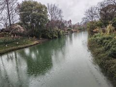 -西溪国家湿地公园