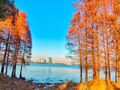 -长广溪湿地公园